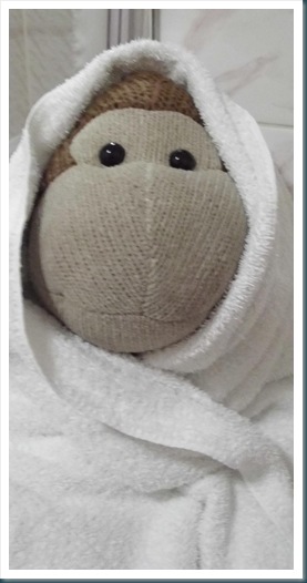 Monkey wrapped in towel
