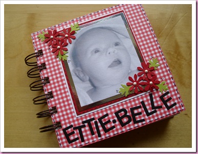 Cover of Mini Baby Book