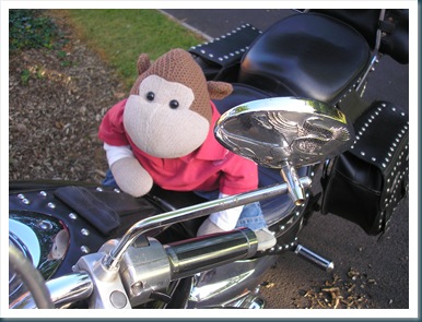 Monkey on a Motorbike 1