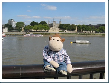 Monkey by the Thames