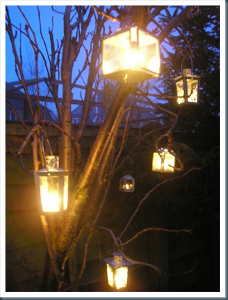 tree lanterns