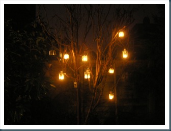 Tree Lanterns 1