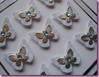 Close Up of Butterfly card