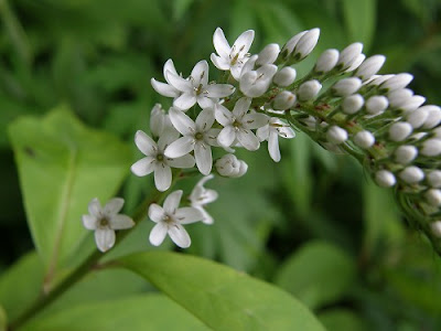 フツウの生活 09年06月