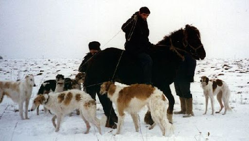 borzoirussia.jpg