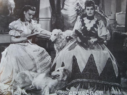 borzoi_karady1.jpg