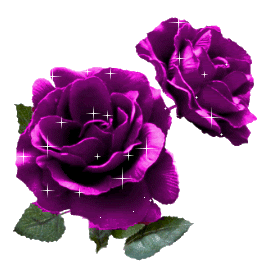 rosas (6)