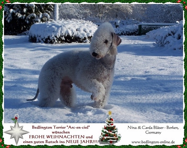 Weihnachten_2009D1%5B4%5D.jpg