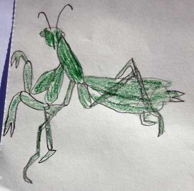 [mantis[4].jpg]