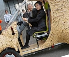 Japan Bamboo Car