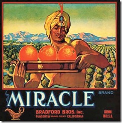 vintage-fruit-crate-labels-miracle-bradford-bros1