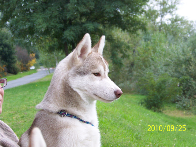100_1537.JPG
