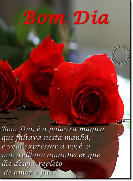 FLOR.jpg