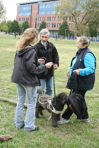 IMG_9581.JPG