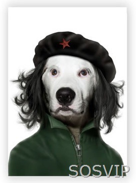 [Che Guevara[4].jpg]