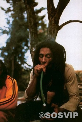 [Bob Marley [3].jpg]