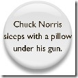 Chuck Norris 7