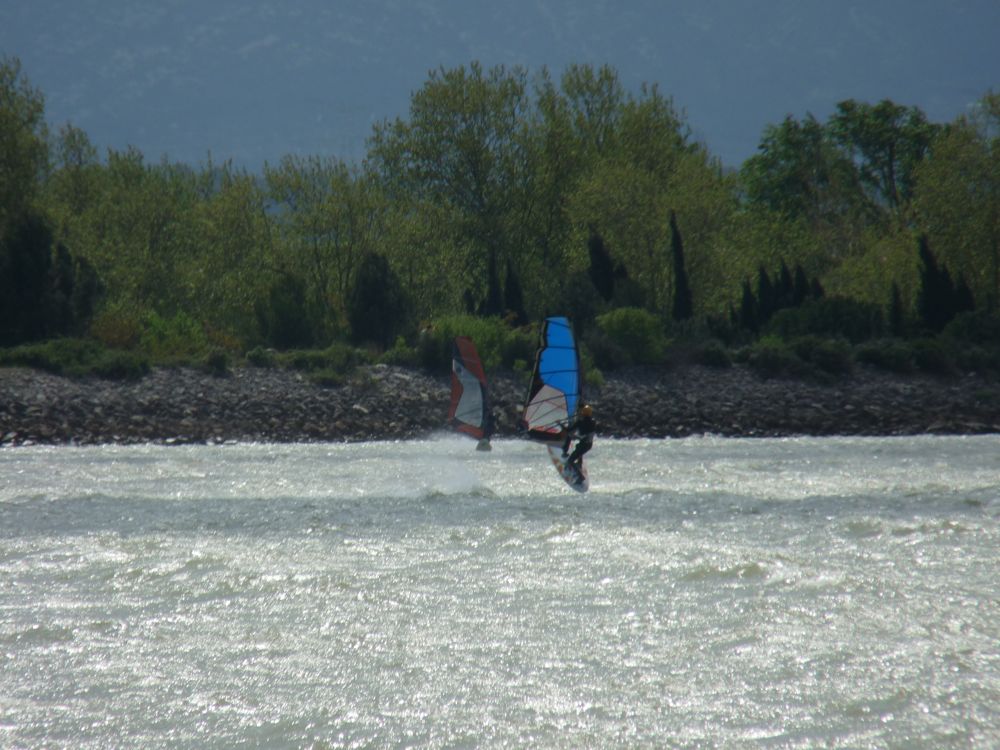 P1040494.JPG