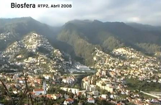madeira.jpg