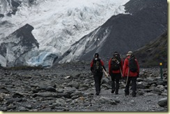 Glaciar Franz Josef (31)