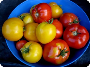 tomatoez