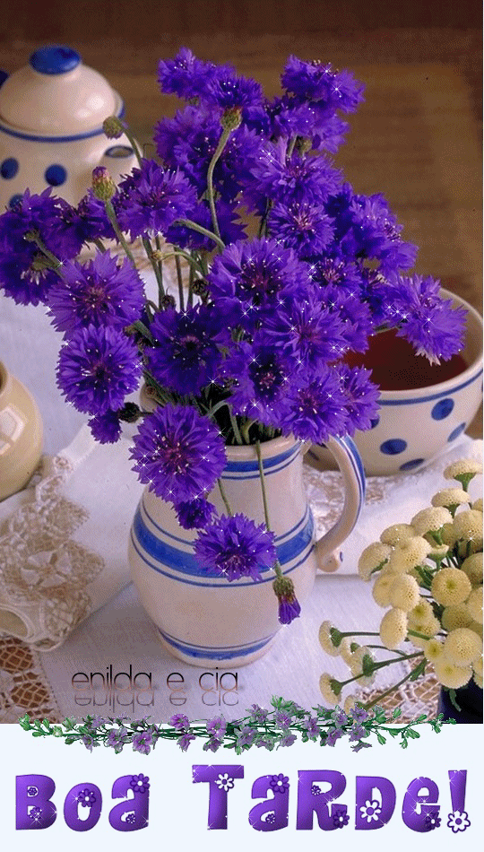 72BT%20-%20INTER%20FLORA%20C%20OK.png