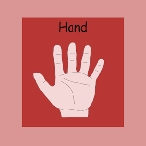 Kids Body Parts.apk 1.0
