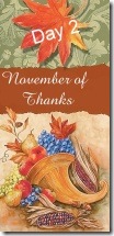November of Thanks at 'Rebecca Writes'