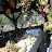DSCN0080.jpg
