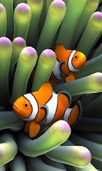 Sim Aquarium Live Wallpaper 1.0.2