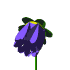 blue_flower_md_wht.gif