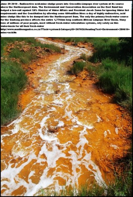 Acid Mine Drainage from West Rand Mines Mariette Liefferink Hartbeespoortdam