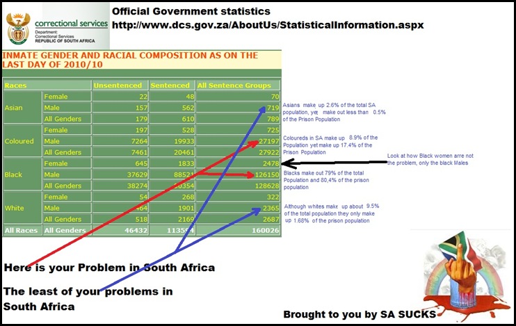 Racial composition of jailed SA criminals SA correctional services STATS