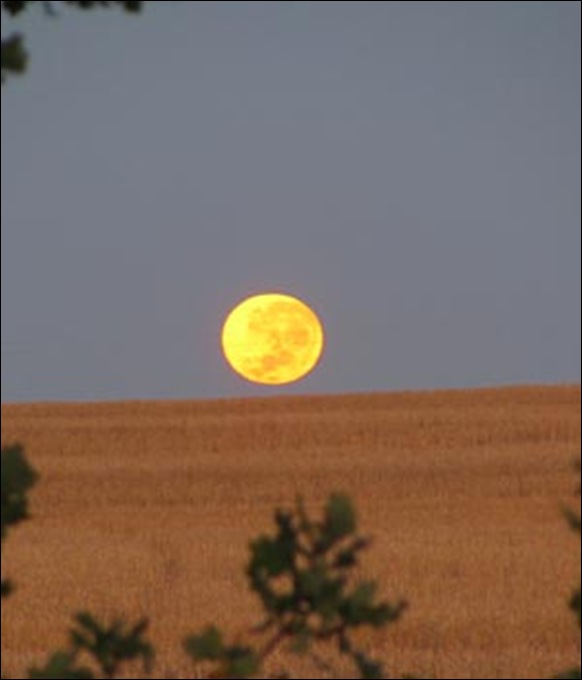 full moon over Wellington wheat farm Feb172011 by farmwife Christa Steyn