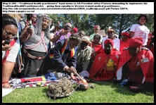 TRADITIONAL HEALTH PRACTITIONERS ACT ZUMA MUST IMPLEMENT IT MAY122011