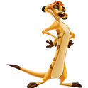 Timon Widget icon