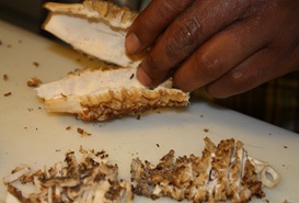 Cooking Morels