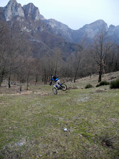 mosceta010.JPG