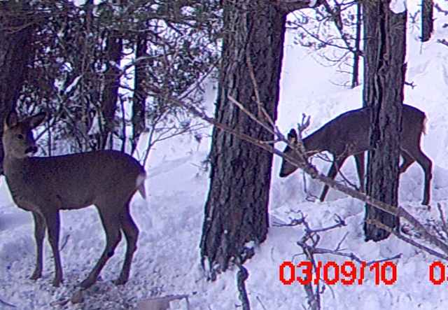 [MDGC0045[5].jpg]