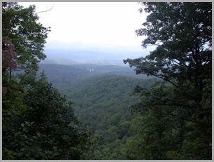 From the Top of Amicalola Falls
