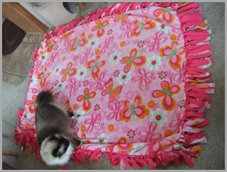Catia's Blanket
