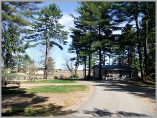 Campground Looking Toward The Marsh