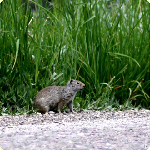 IMG_2153 IMG_2153