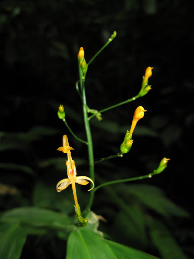 japanese cloud tattoo