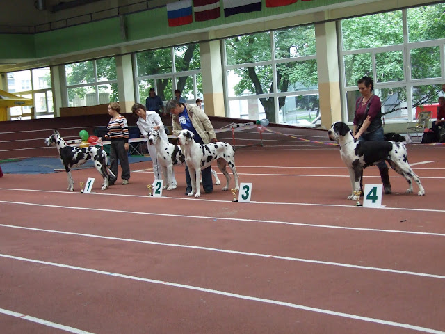Lithuanian%20club%20show%202010%20093.JPG
