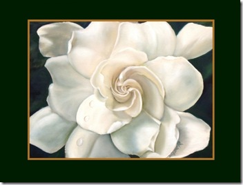 gardenia-darlene-richardson