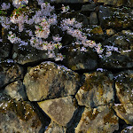 god-wallpapers.blogspot.com (15).jpg