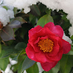 god-wallpapers.blogspot.com (60).jpg