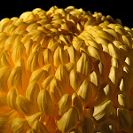 god-wallpapers.blogspot.com (61).jpg