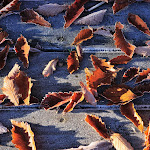 god-wallpapers.blogspot.com (19).jpg